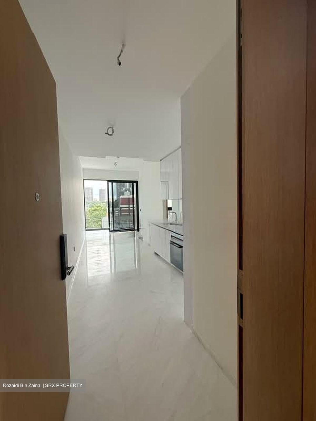 Peak Residence (D11), Condominium #541677291